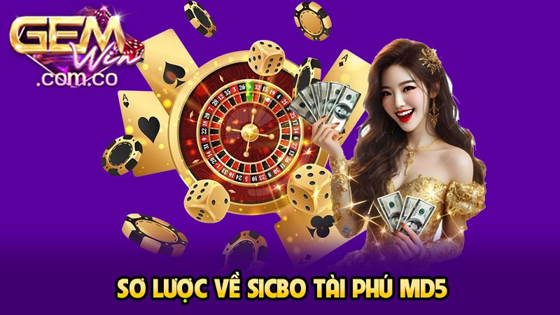 Sơ lược về sicbo tài phú MD5
