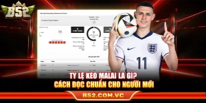Tỷ Lệ Kèo Malai Là Gì? Cách Đọc Chuẩn Cho Người Mới